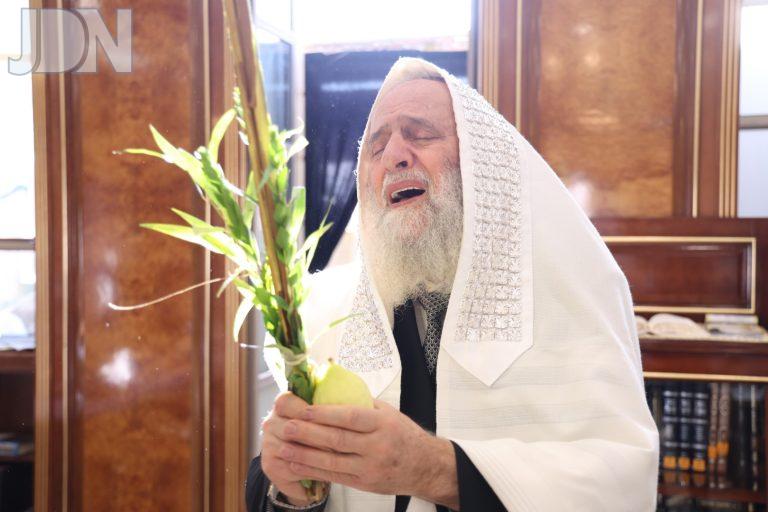הגר''ר אלבז נענועים (3)