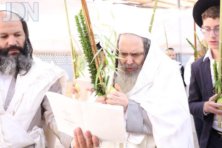 הגר''ש ארוש נענועים (9)