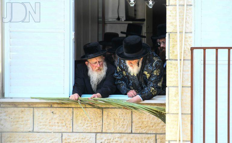 ויז'ניץ סיכוך הסוכה (6)