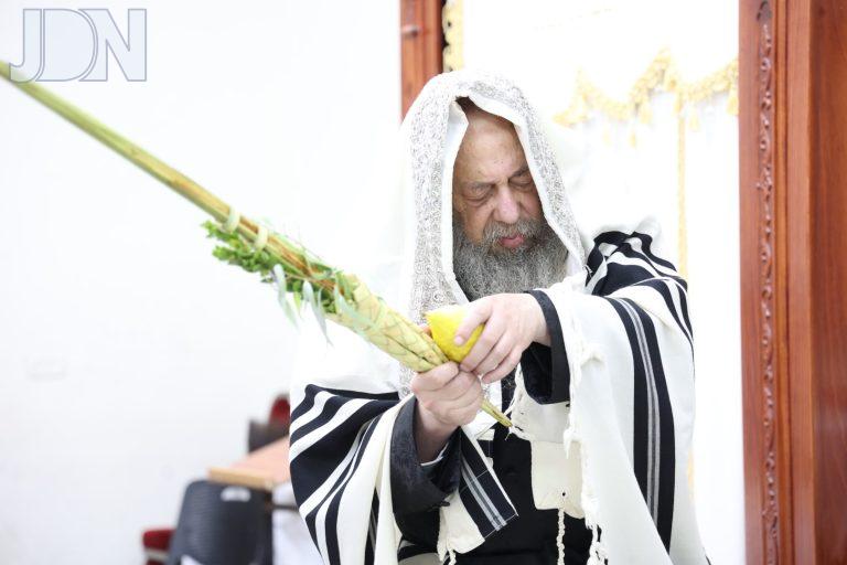 זוועהיל נענועים (6)