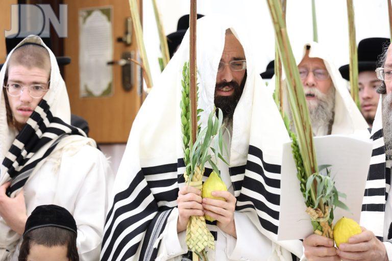 זוועהיל נענועים הושענא רבה (5)