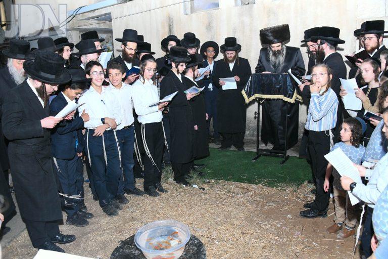 זוטשקא תשליך (2)