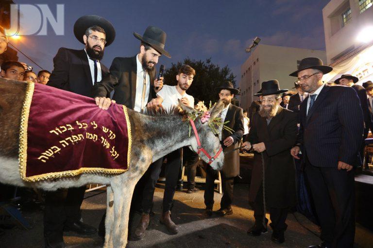 חמדת שמעון פדיון פטר חמור (21)