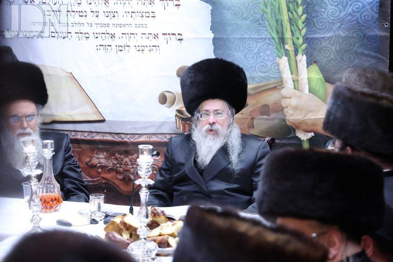 טאלנא טיש חוהמ''ס (4)