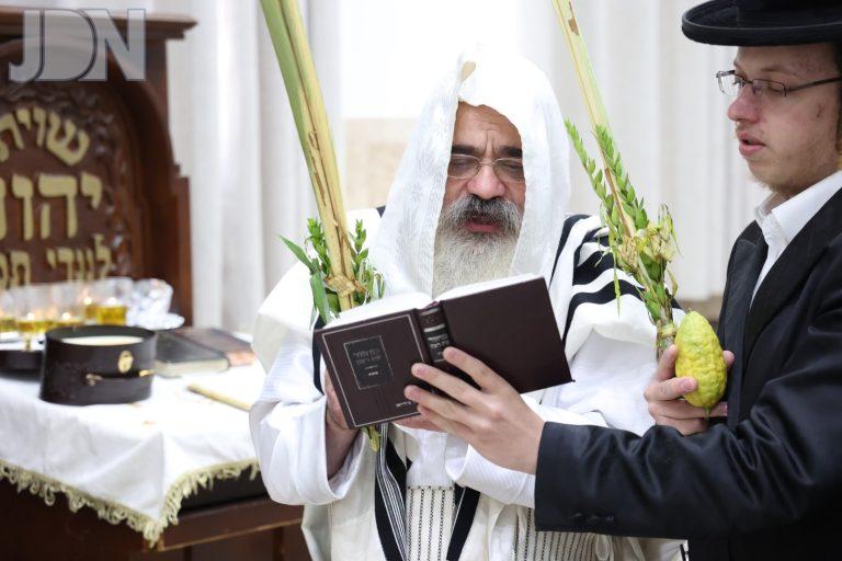 לעלוב ירושלים נענועים הושענא רבה (4)