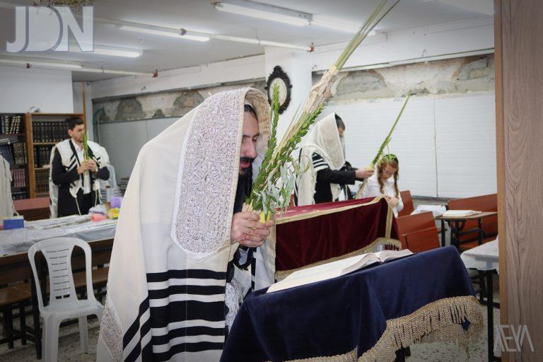מבקשי ה' נענועים (7)