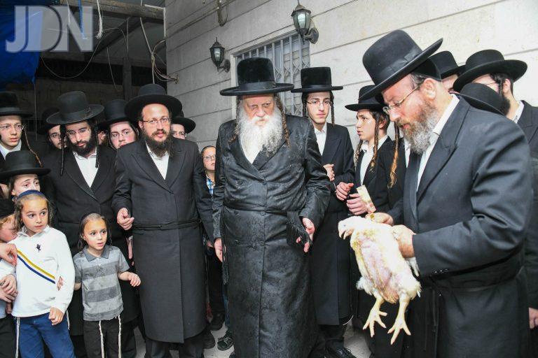 מודז'יץ כפרות (1)