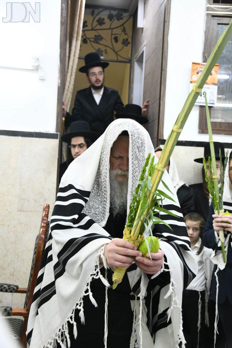 מודז'יץ נענועים (10)