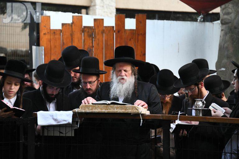 מודז'יץ תשליך (3)