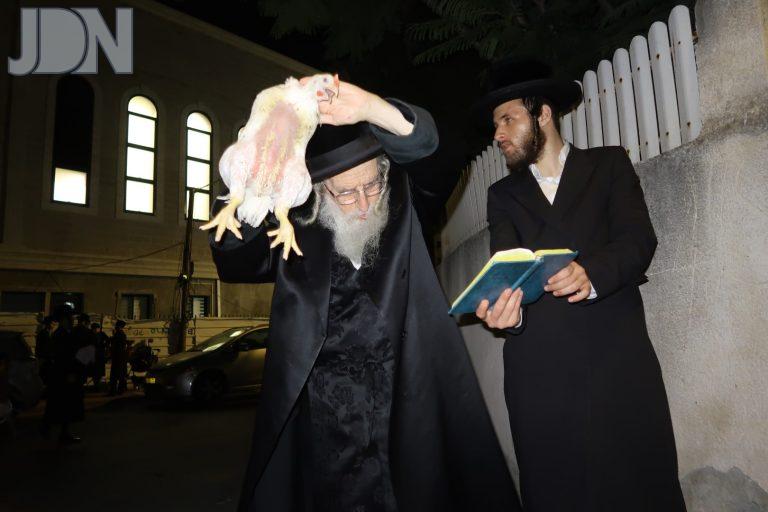 מעליץ כפרות (4)