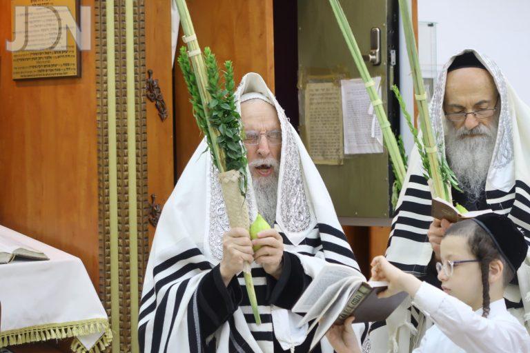מעליץ נענועים (9)