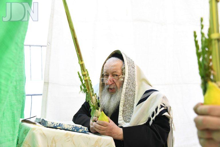 נאראל נענועים (2)