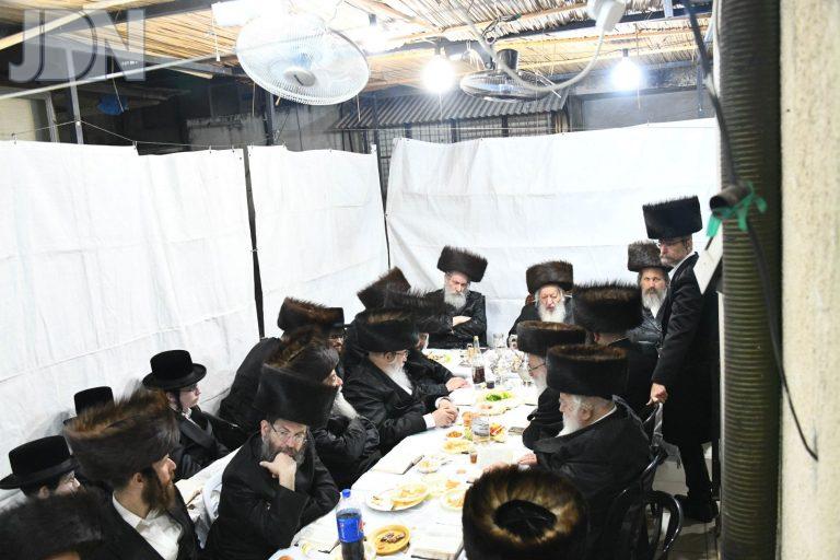 נאראל סוכות פג (2)