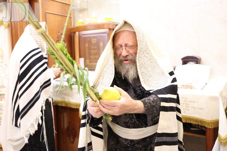 נדבורנא באניא נענועים (4)