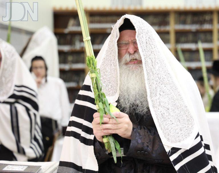 נדבורנה ירושלים נענועים (2)