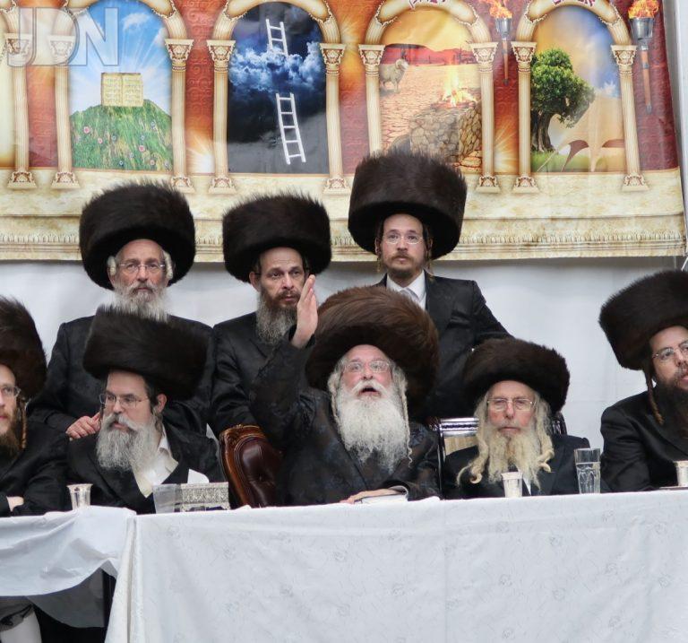 נדבורנה ירושלים סוכות (3)