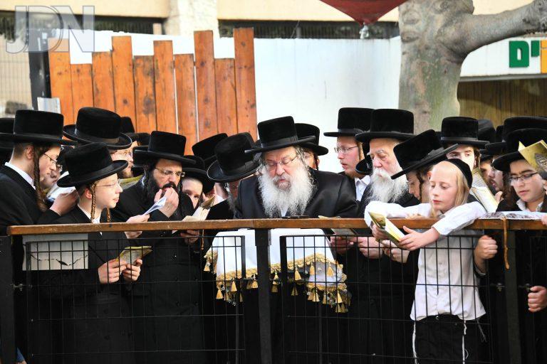 נדבורנה תשליך (11)