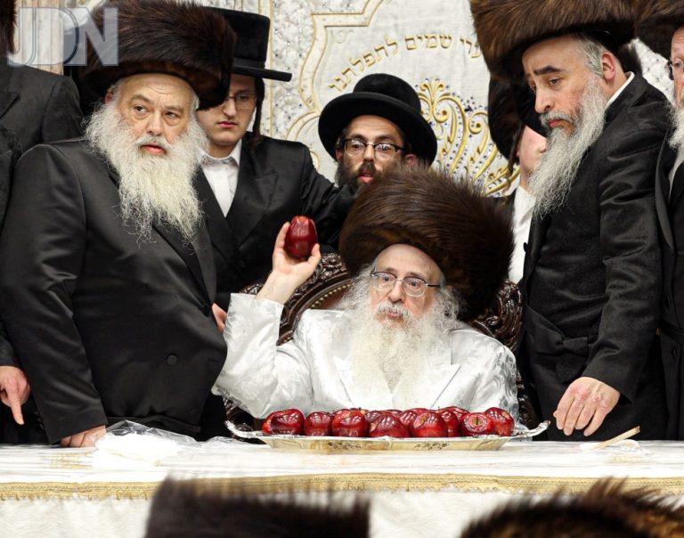 סוכות בחצר הקודש צאנז קלויזענבורג (63)