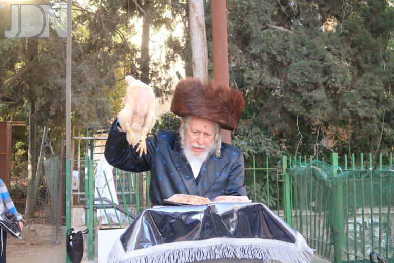 סטראפקוב כפרות (5)