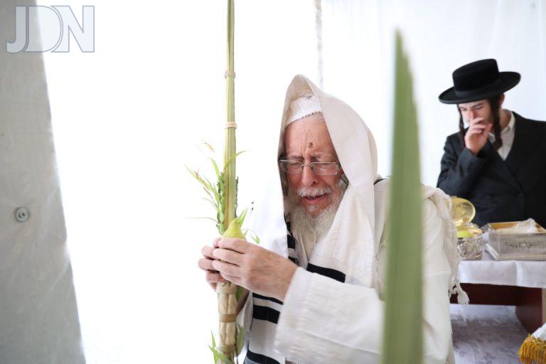 סטראפקוב נענועים הושענא רבה (5)