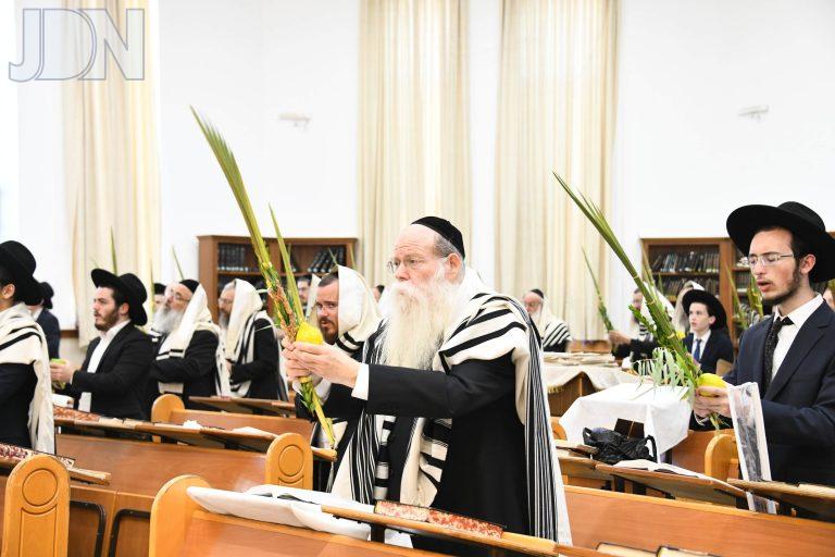 סלבודקא נענועים (3)