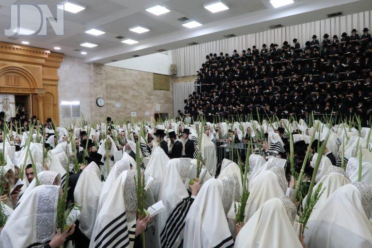 סערט ויז'ניץ סוכות פג (16)