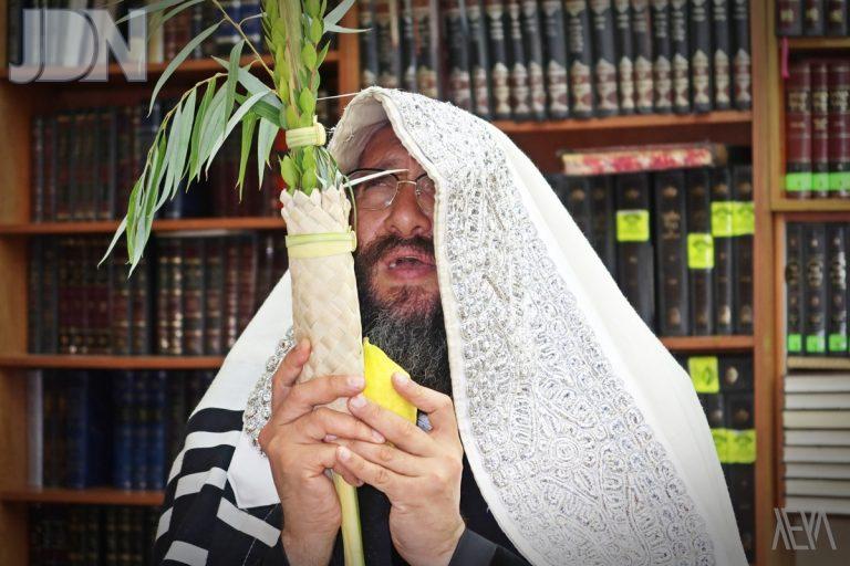 ספינקא רמ''א נענועים (9)
