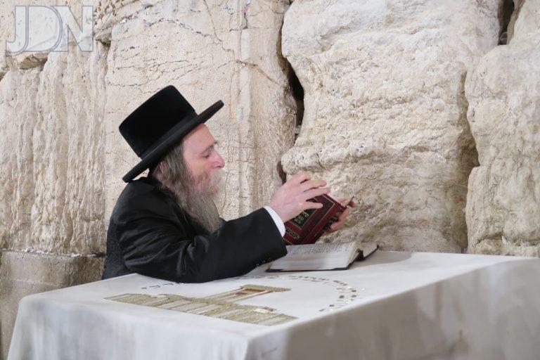 ערלוי בכותל והר המנוחות (4)
