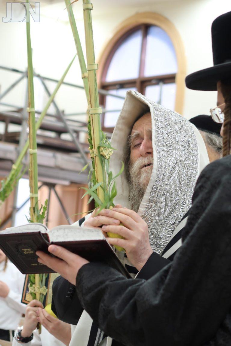 ערלוי נענועים (5)