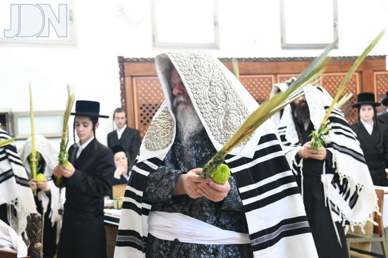 פרימישלאן נענועים (5)