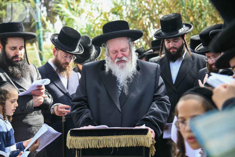 פרימישלאן תשליך (12)