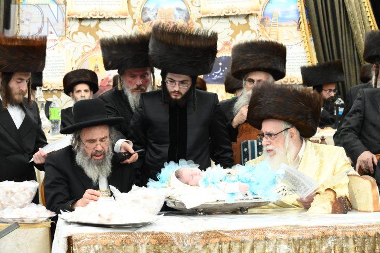 צאנז פדיון הבן לנין (8)