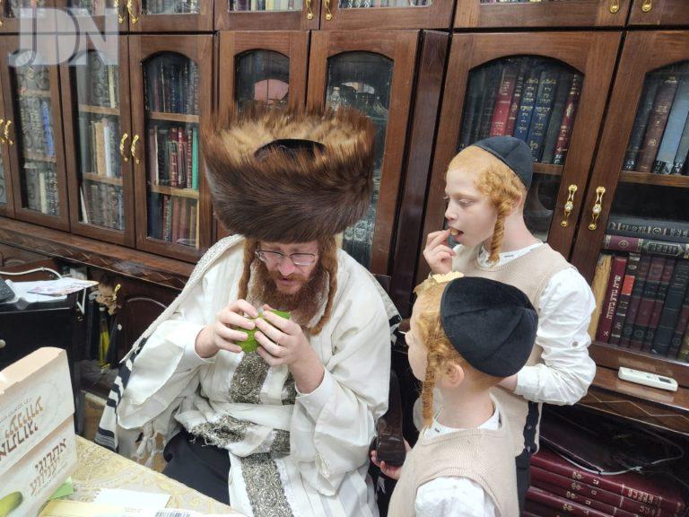 קאליב סוכות (2)