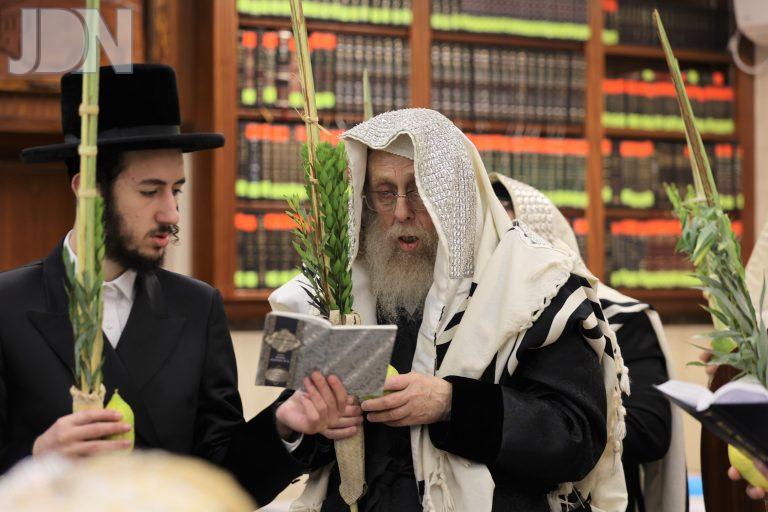 קאמארנא נענועים (1)