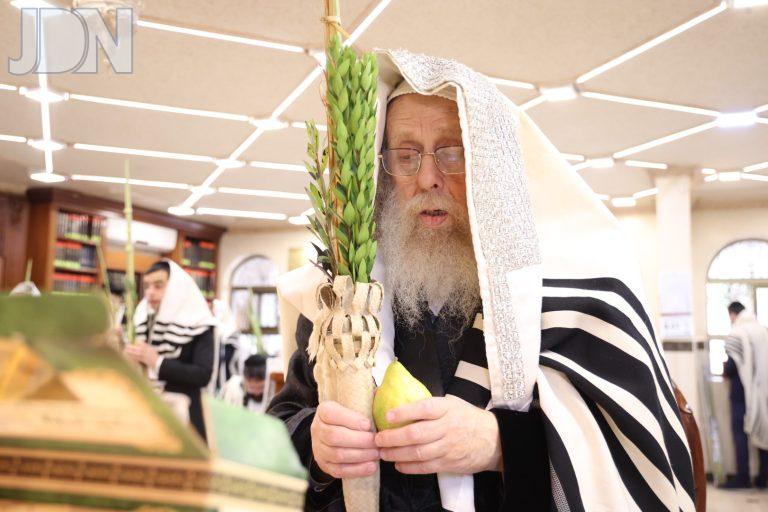 קאמארנא נענועים (3)