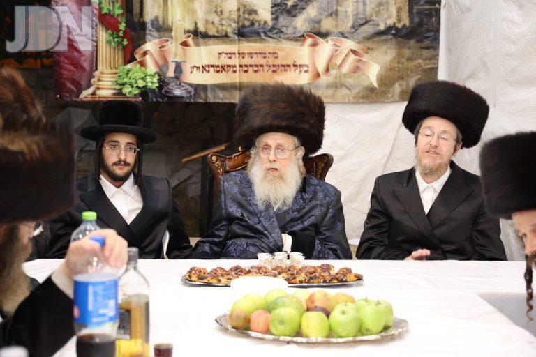 קאמארנא פרנקל אשכנזי ווארט (2)