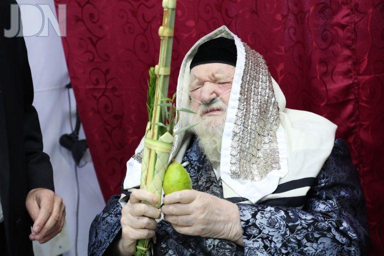 ראב''ד ירושלים נענועים (4)