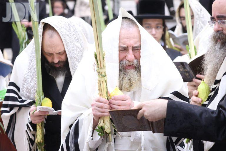 ראחמיסטריווקא הושענא רבה (12)