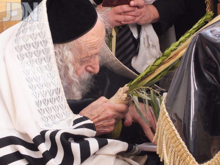 רבי יוסף ליברמן סוכות פג (1)