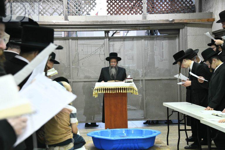 שבט הלוי תשליך (2)