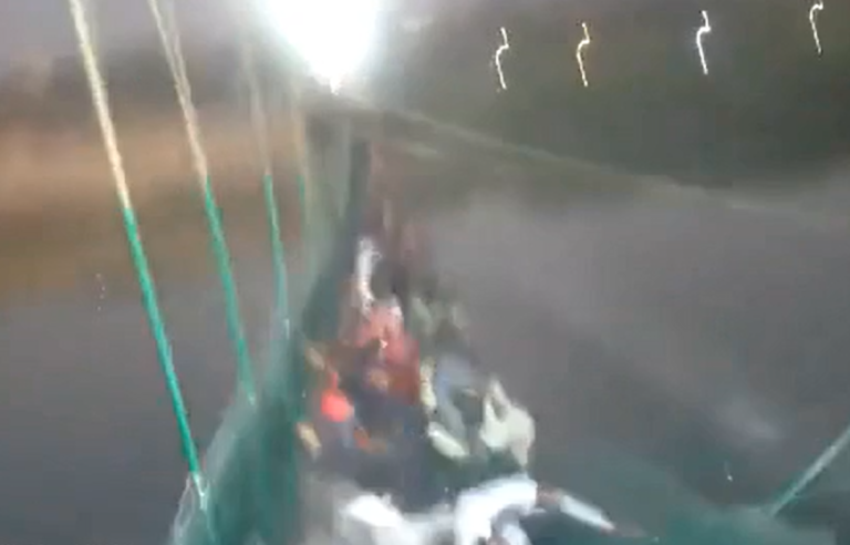 ‏‏לכידה