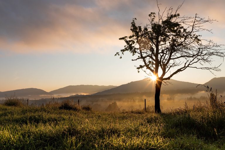 sunrise-4261863_1920