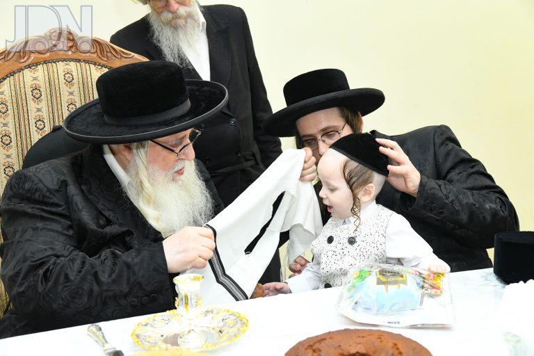 צאנז חאלאקע לנין (4)