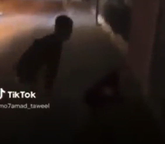 ‏‏לכידה