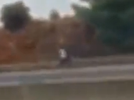 ‏‏לכידה