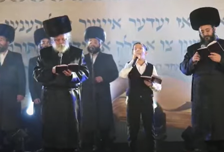 ‏‏לכידה