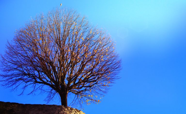 landscape-7632274_1920