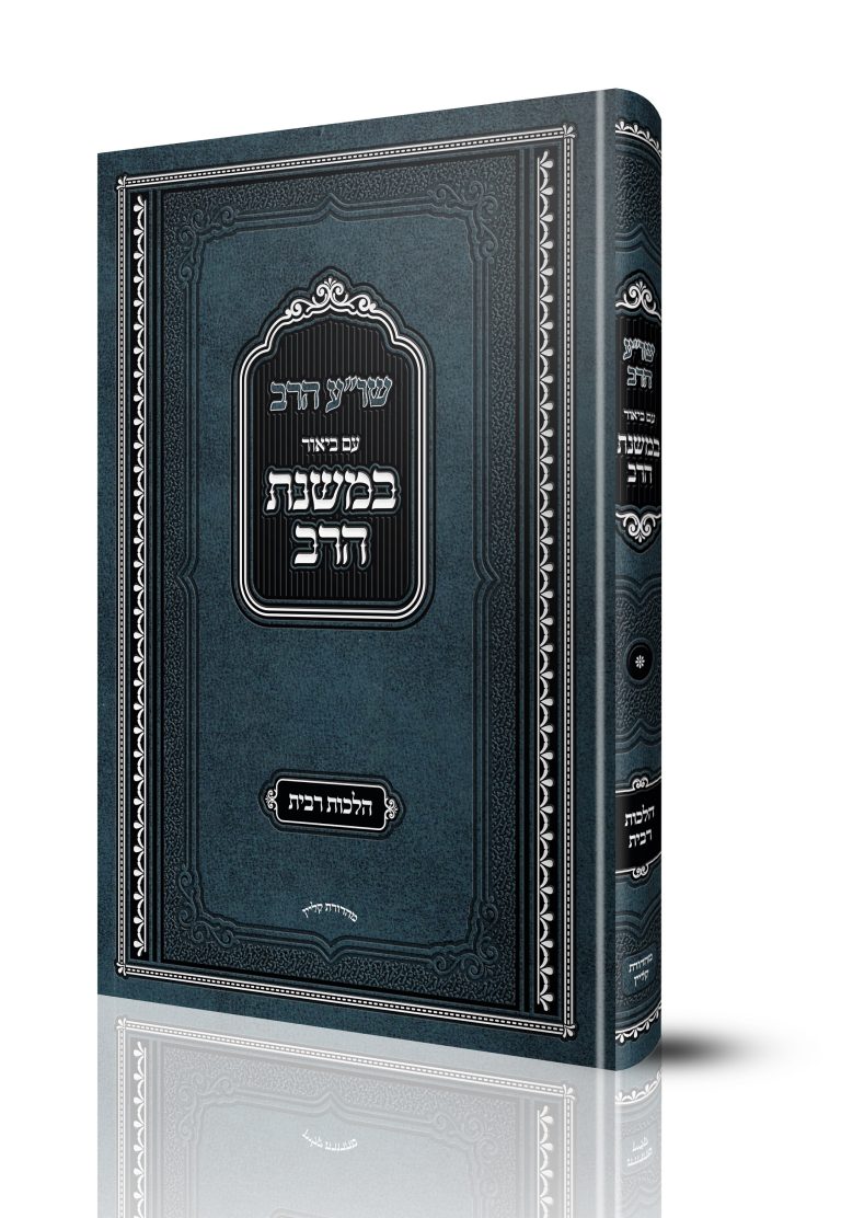 הדמייה_1