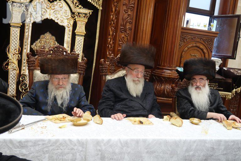 נדבורנא חיפה ברית לנין (14)