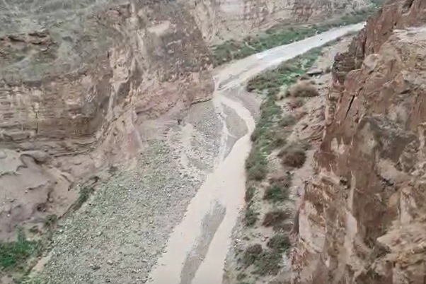 ‏‏לכידה